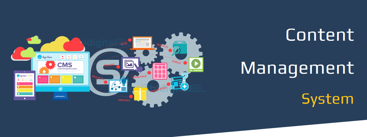 CMS Development in Quetta