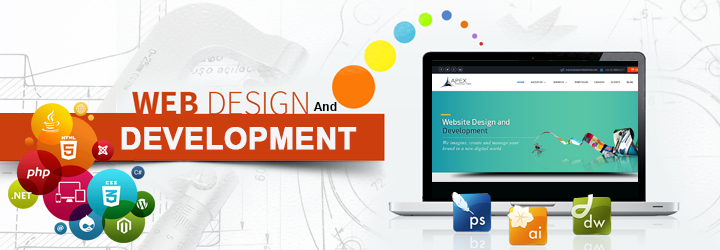 NGOS Website Development Services in Quetta
