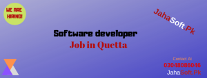 Software developer job in Quetta