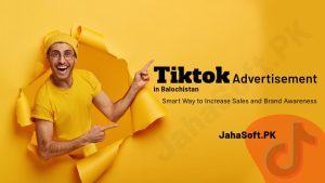 TikTok Advertisement in Balochistan [Generate More Sales Now]