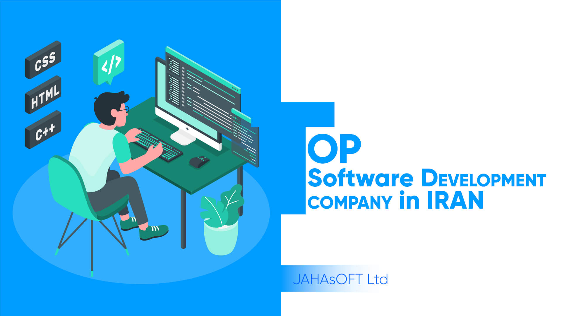 Top Software Development Company in Iran